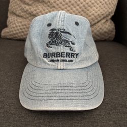 Supreme Burberry Blue 6 Panel Hat