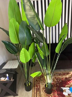 Large Faux Plant Collection – 4 Plants – $175 OBO