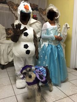 Cute Disney Store Frozen Olaf Costume