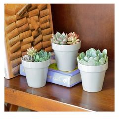 Youngever 8 Pack 5.5 Inch Plastic Planters Indoor Flower Plant Pots, Classic Decorative Gardening Pot with Drainage Holes (Gray No Saucers)