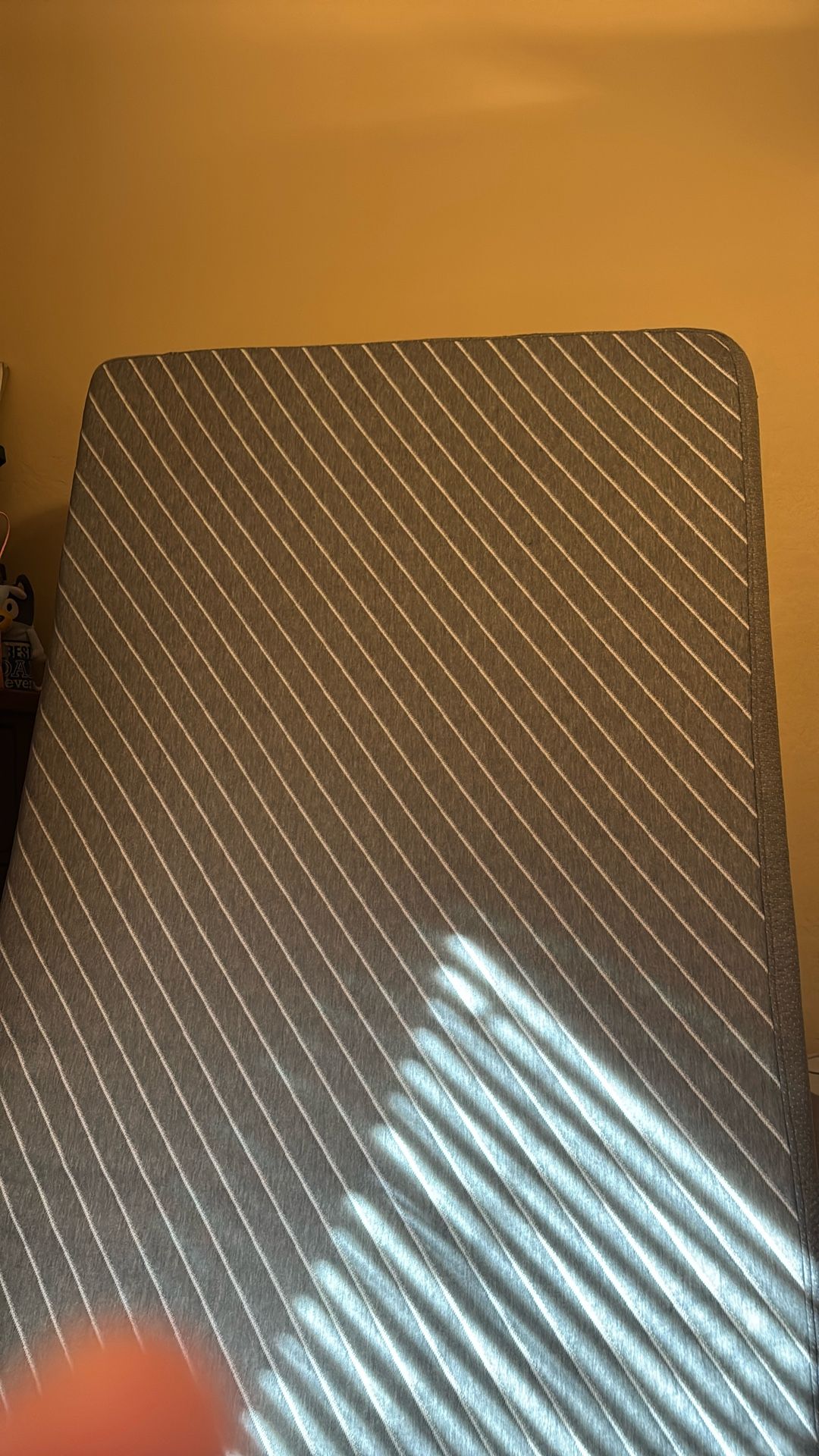 Siena Twin XL mattress (like new)