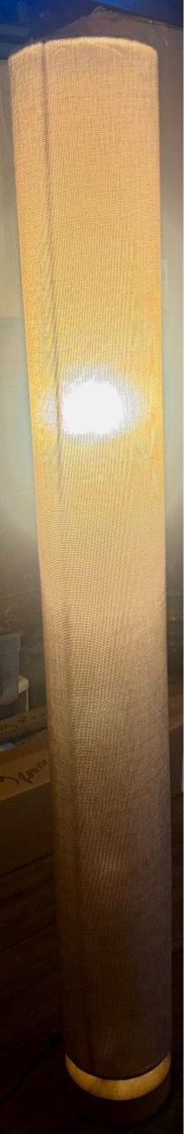 Approx 41/2 ft tall Preowned floor lamp in good condition small tear on wire repaired and works just fine located off lake mead and Simmons area askin