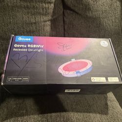 Govee Recessing Lights 