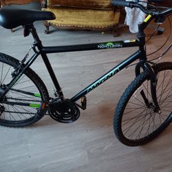 Northern Magna Mountain Bike Black And Green for Sale in Renton