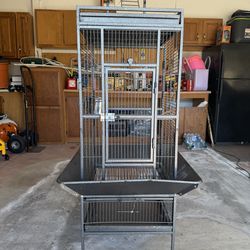Bird Cage