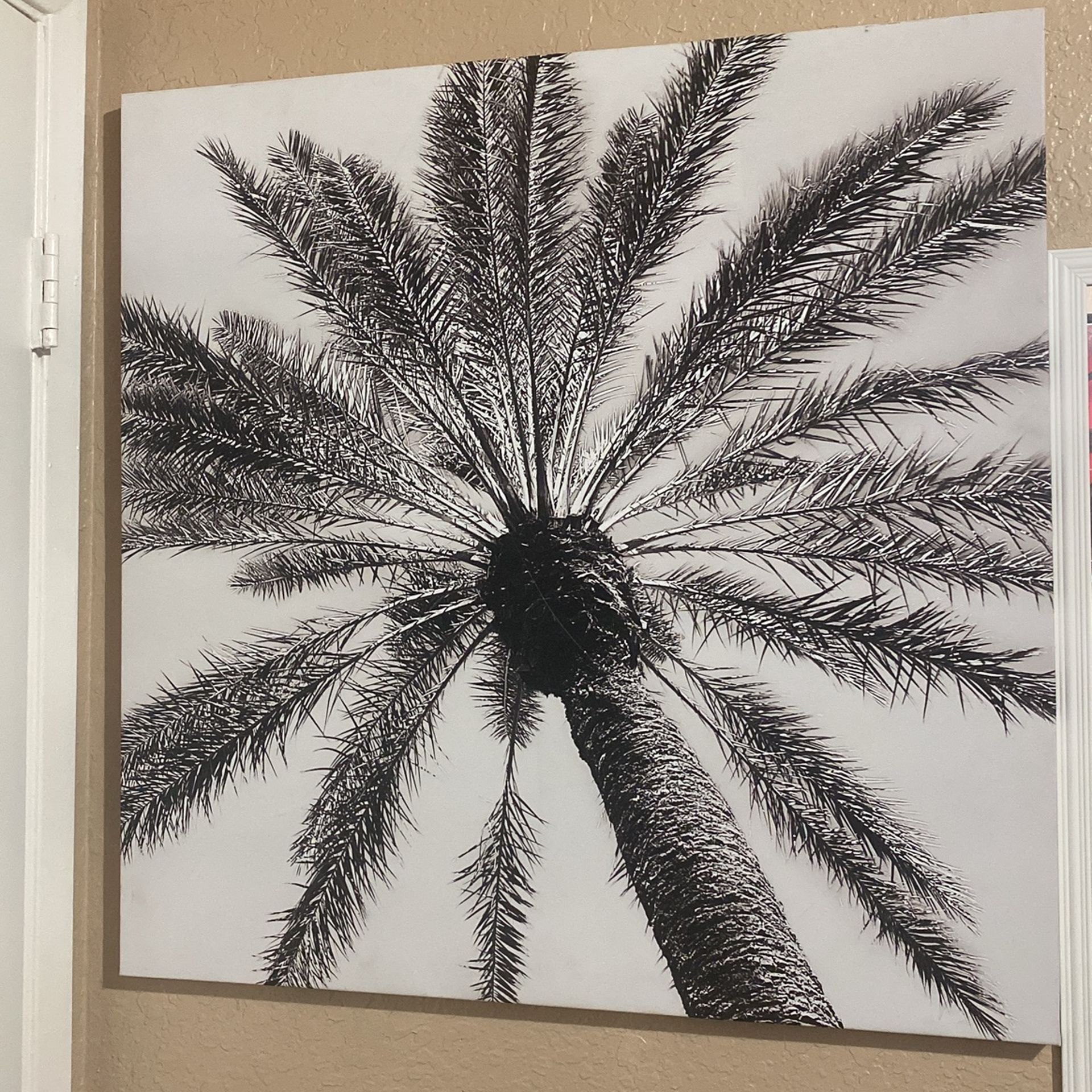 Palm Picture Poster Framed