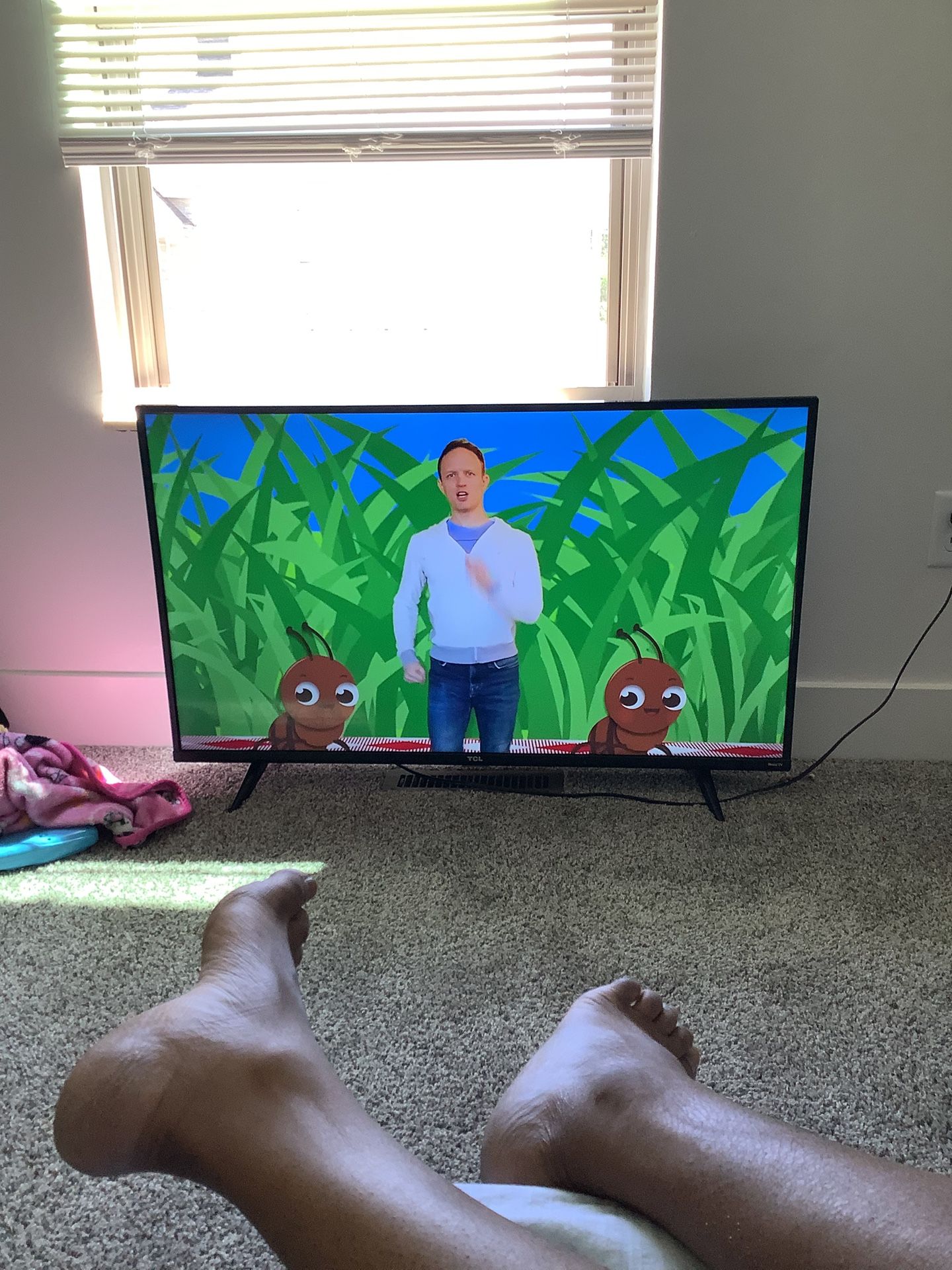 43” Roku TV 