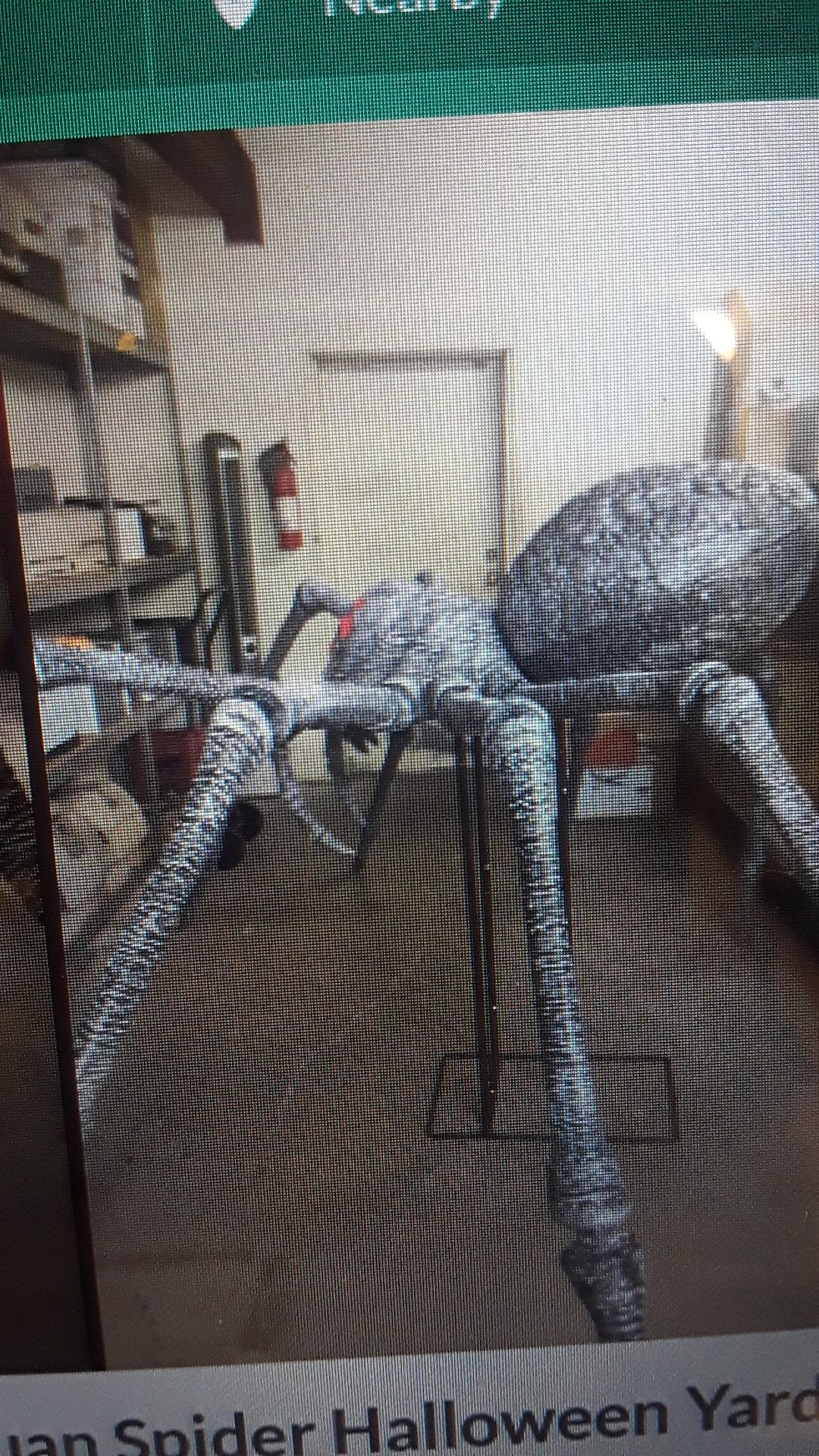 Gargantuan 9ft spider 450.00