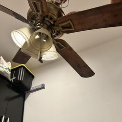 Ceiling Fan Abanico