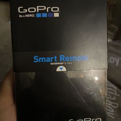 GoPro Smart Remote Waterproof