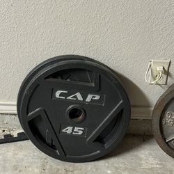 45lbs Plates
