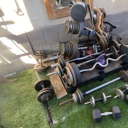 rack and weights 