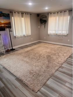 Large Area Rug