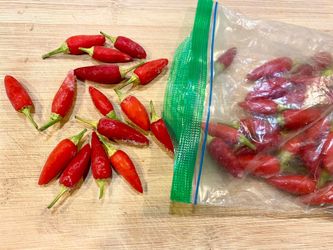 Thai Red Chili Plants Sale