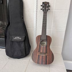 Kala Ukulele 