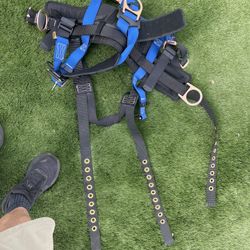 Harness And Very Good Chape $50 