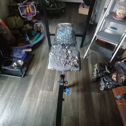 Weight Bench