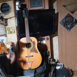 12 Strings Gutitar 