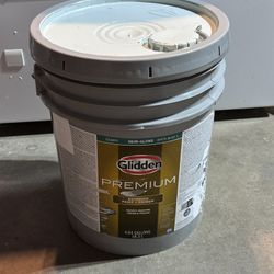 5 Gallon Glidden Premium Exterior Paint Semi-Gloss Soft Green White (Sage) / Pintura Exterior Verde Blanco 5 Galones 