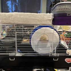 Hamster Cage & Accessories 