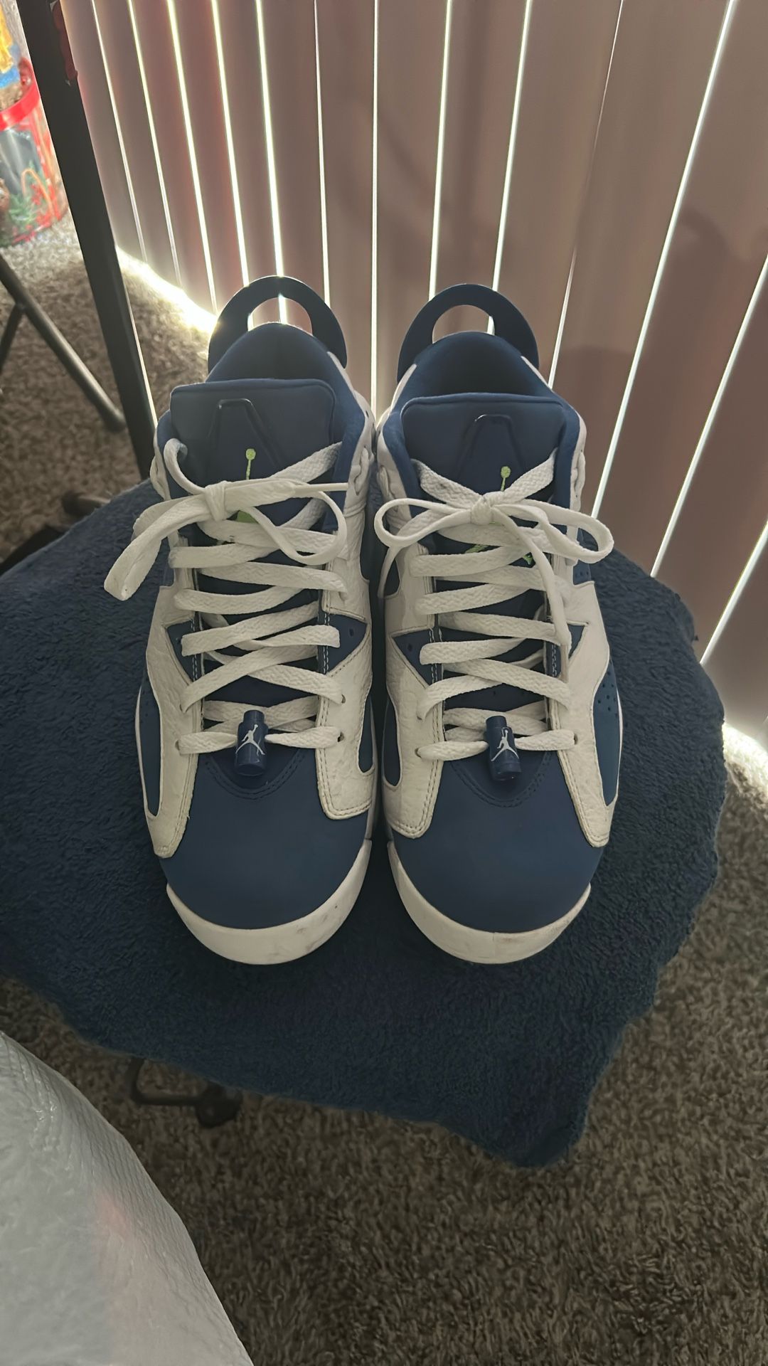 Jordan Retro 6 Low