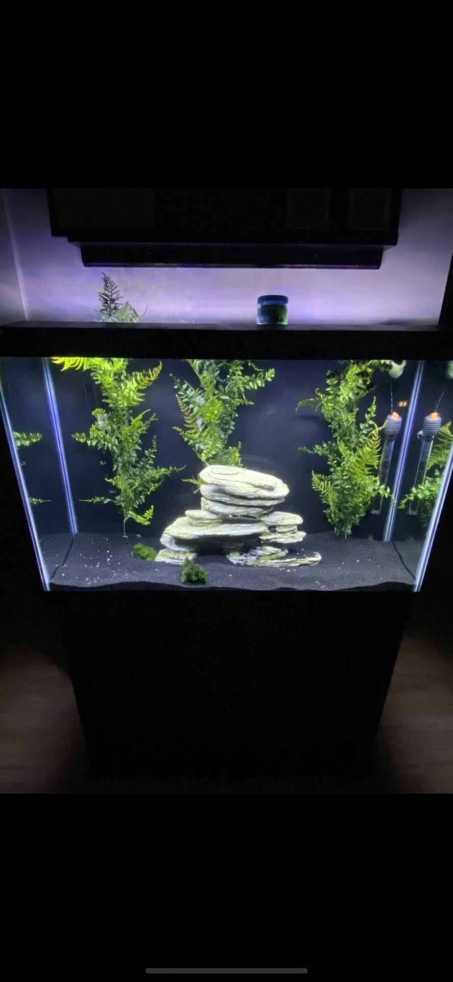 45 Gallon Aquarium And Stand