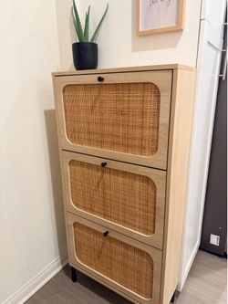 Shoe organizer