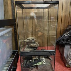 Reptile 🦎 Enclosure 