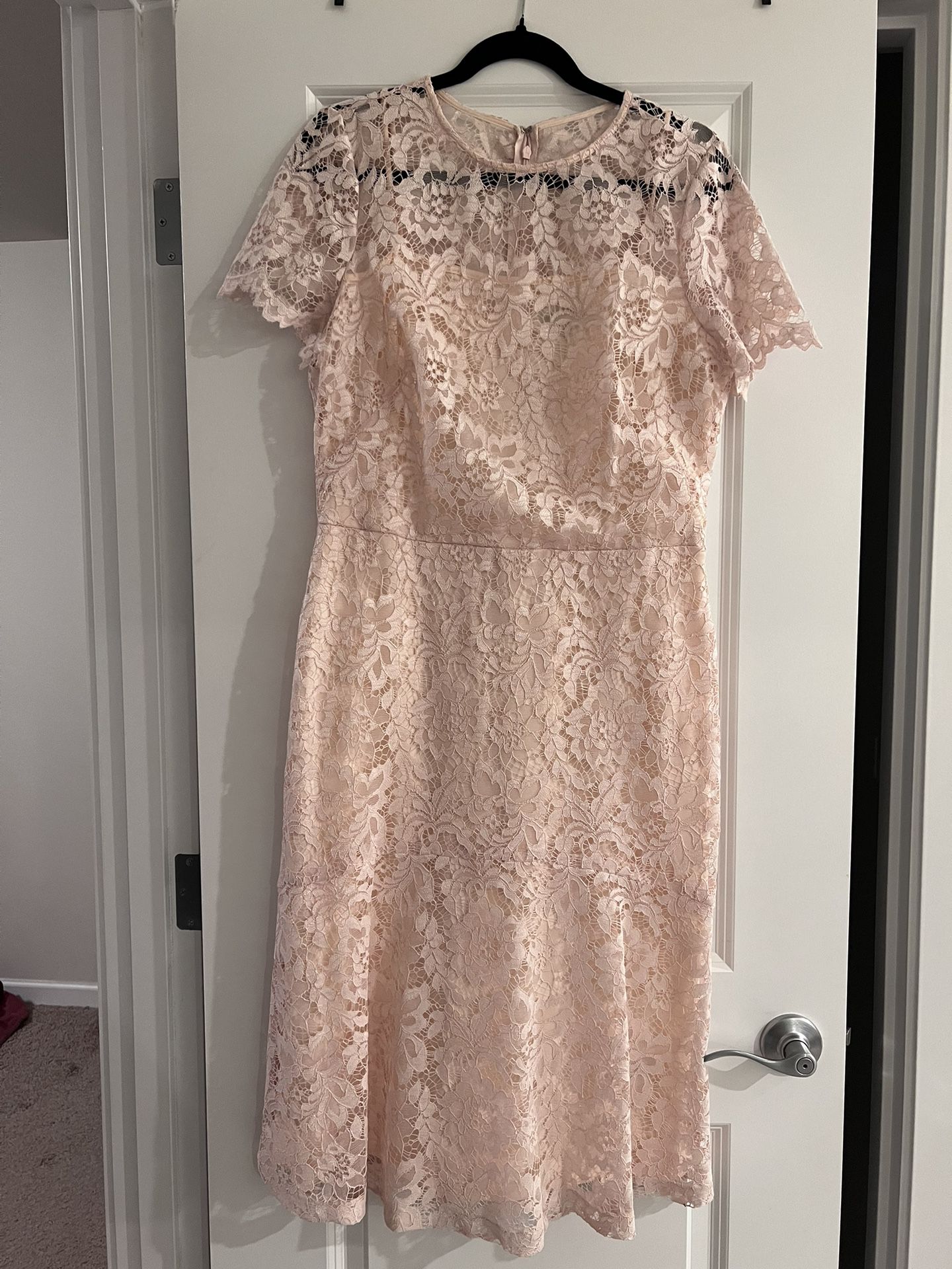 Ralph Lauren Womens Lace Blush Dress 