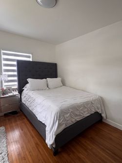 Queen Grey Bed Tufted Upholstered Bed Frame with Wingback Headboard