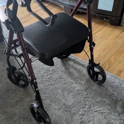 Brand New Walker 