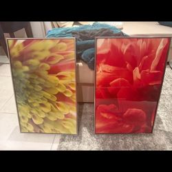 2 Flower Paintings