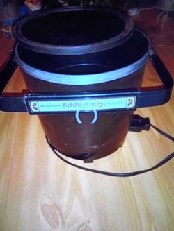Fish fryer
