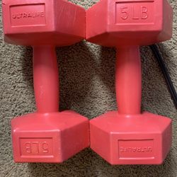 One Pair Of Dumbbells 5 Pounds 