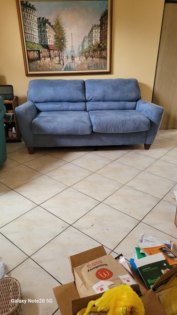 Sleeper Sofa