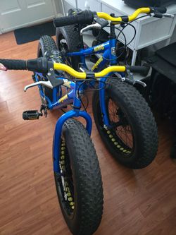 Bicis