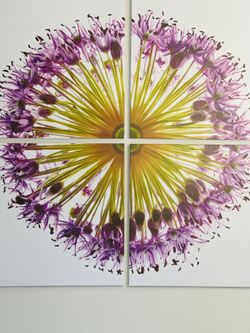 Canvas Art Flower