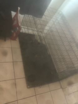 Large dog cage