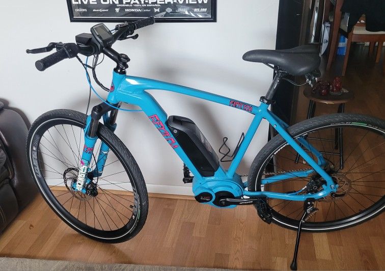 Custom Gepida Fastida X10 ebike with Bosch Performance Line Speed motor