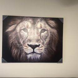 Lion Head Picture 