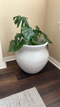 Pottery
