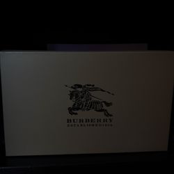 Burberry Plaid Scarf