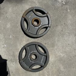 25lb Weights 