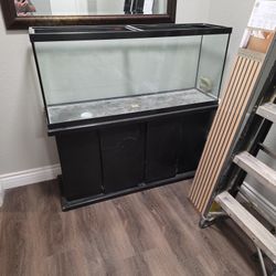 Aquarium / T errarium 12x20x48 With Stand