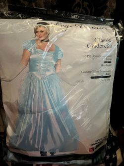Women Classic Cinderella costume