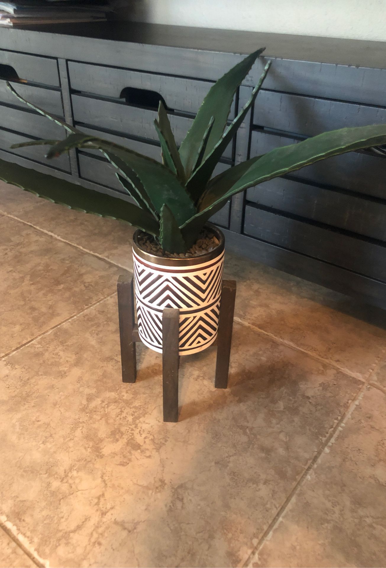 Plant 🌱 decor