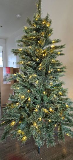 5 ft Cashmere Tree