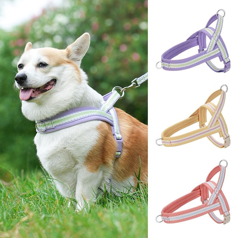 Colorful Striped Dog Harness: Adjustable, Soft - Padded, Stylish Walk Gear