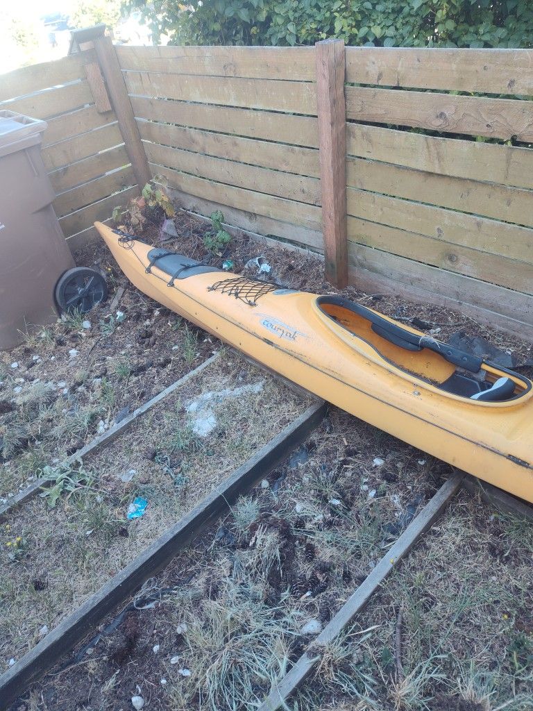 Kayak
