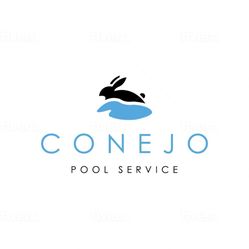 Pool Services 